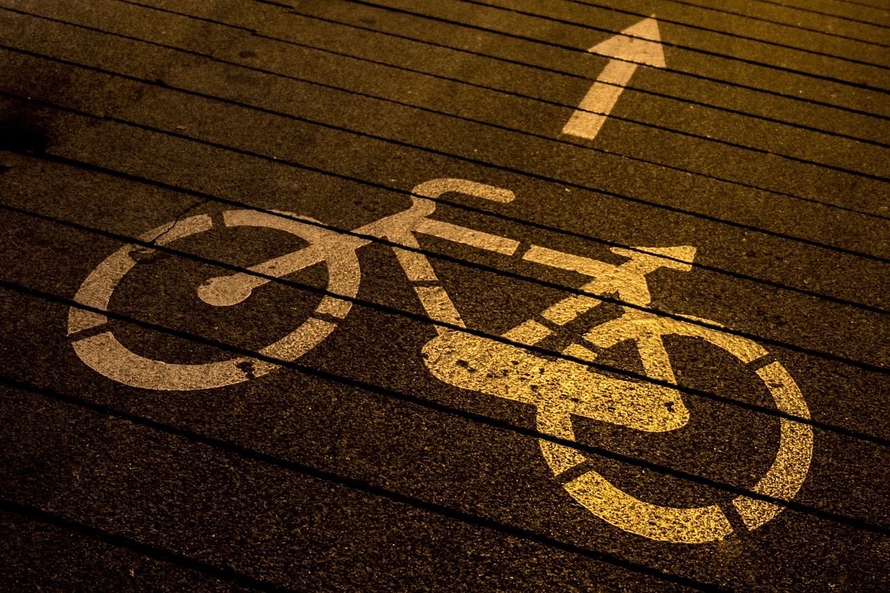 The Impact of Bike Lanes on Urban Sustainability